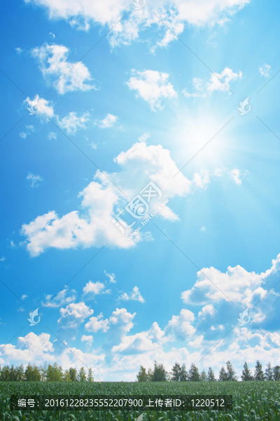 田野和多云的天空與太陽