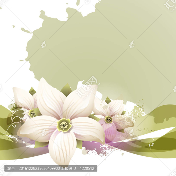 花的背景
