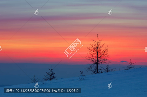 冬季景觀