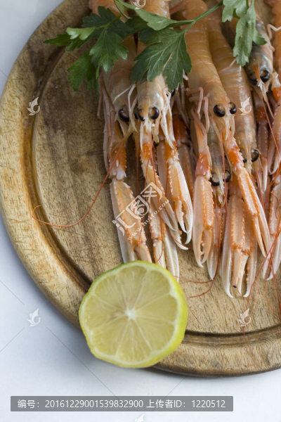 蝦