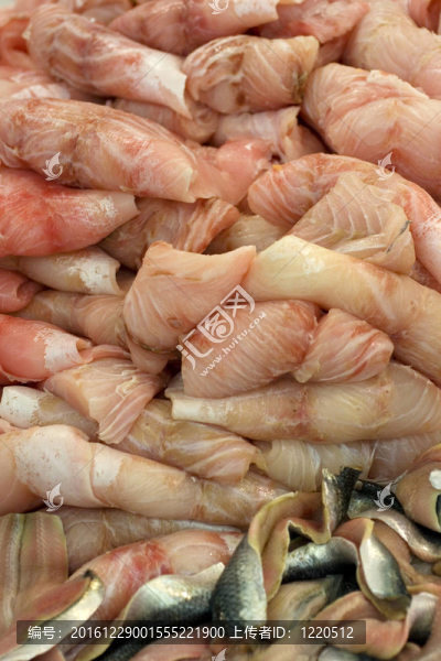 鱸魚(yú)和沙丁油魚(yú)