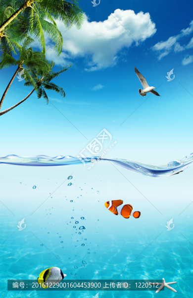海洋與熱帶魚(yú)類(lèi)
