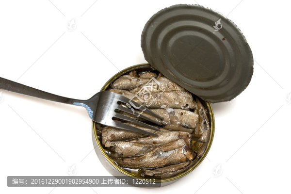 魚在油
