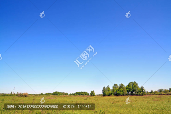 樺樹林秋場(chǎng)