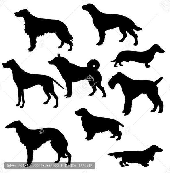 的各種狩獵犬剪影白色背景