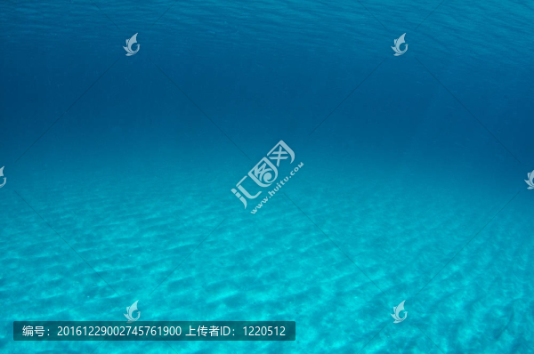 斑駁的沙底剛剛從南佛羅里達(dá)州海灘。