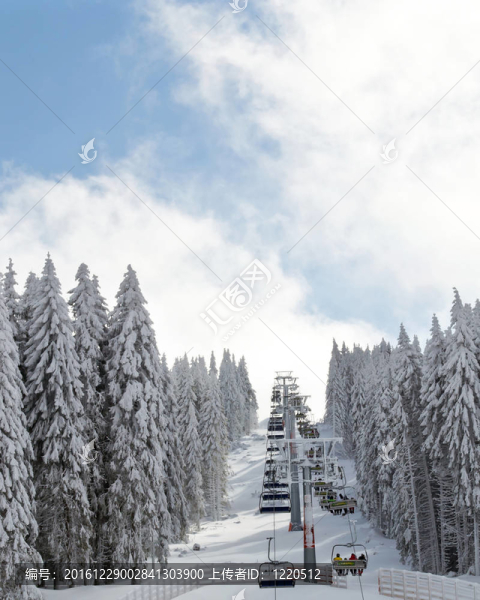 冬季滑雪景觀