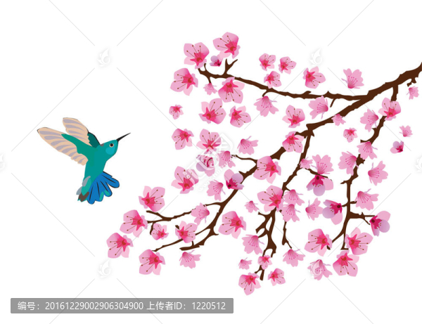 櫻花