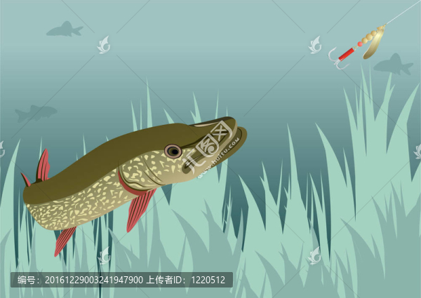 派克和小玩意