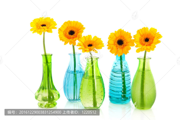 黃色的花在小玻璃瓶包裝