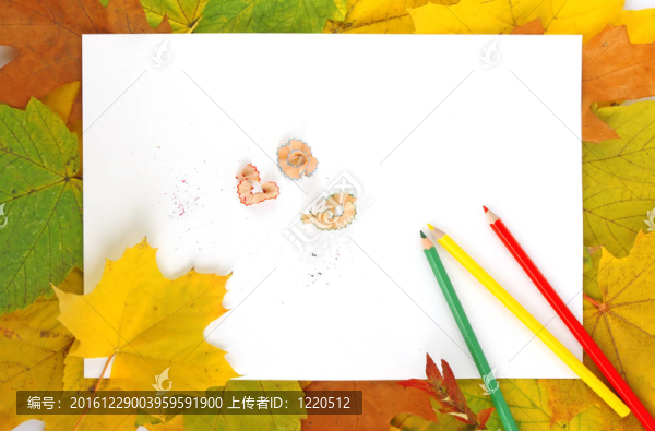 樹葉；紙和鉛筆