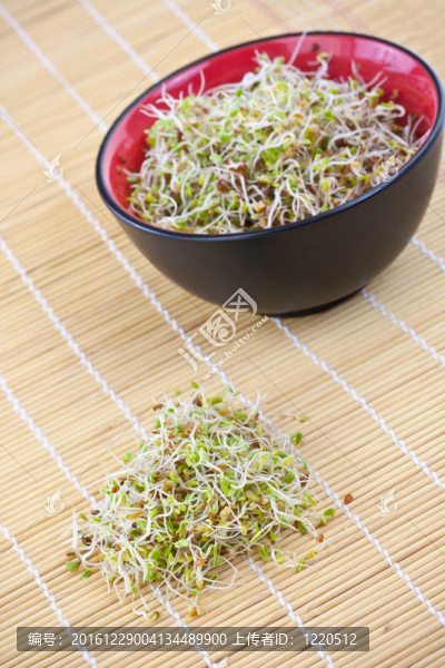 新鮮的豆芽