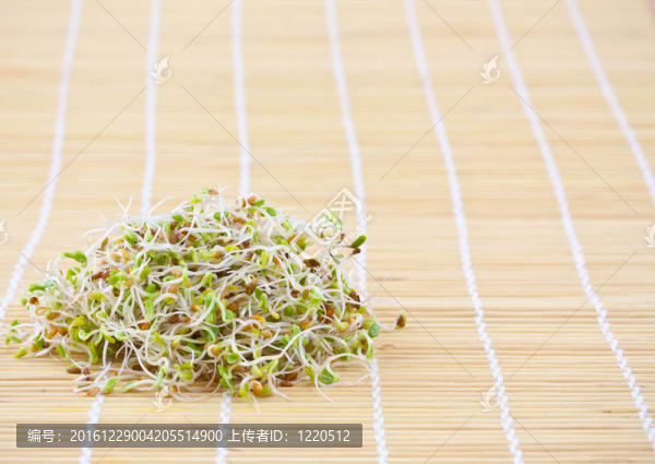 新鮮的豆芽