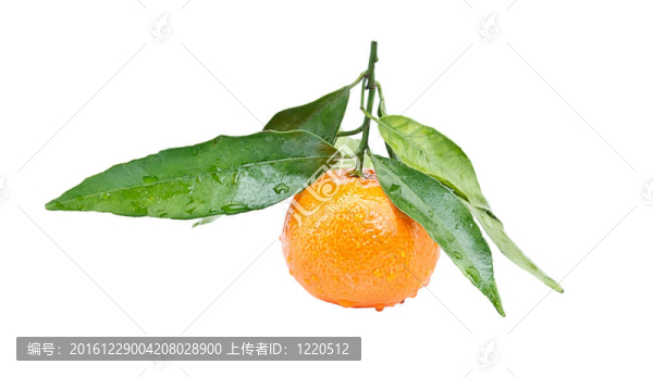 克萊門(mén)