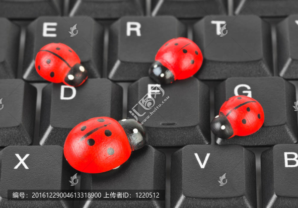 電腦鍵盤上的玩具瓢蟲