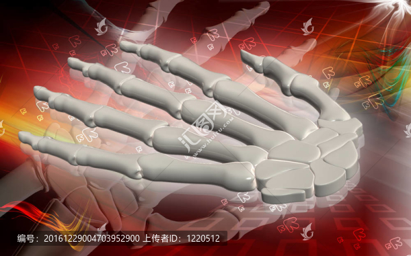 手骨