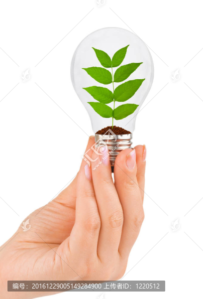 手拿燈和植物