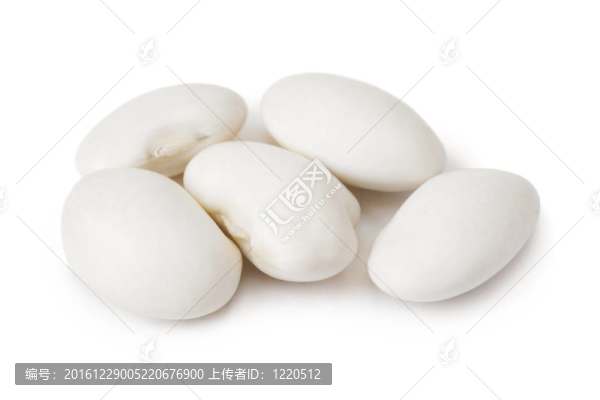 Haricot豆