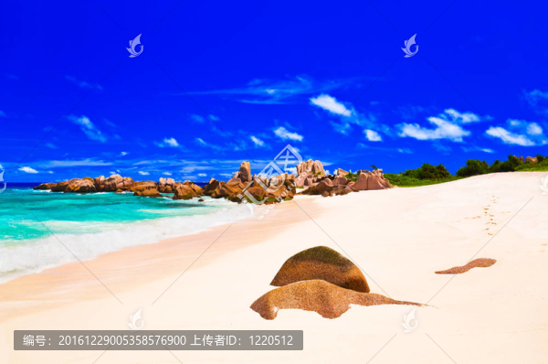 塞舌爾熱帶海灘