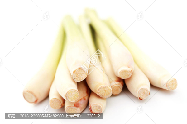 檸檬草