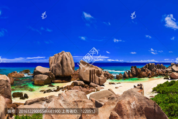 塞舌爾熱帶海灘