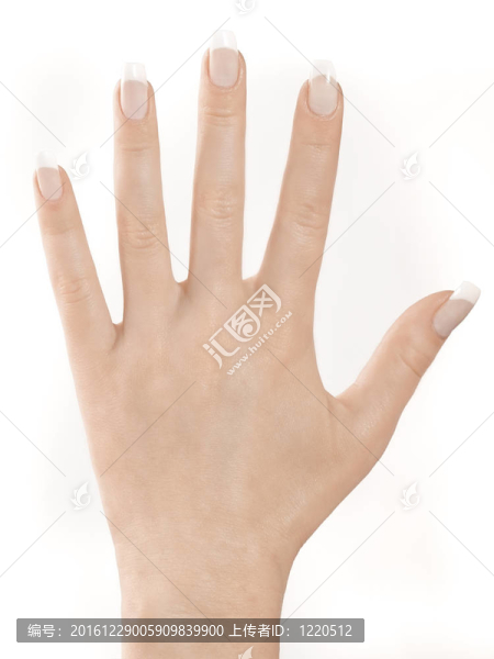 手和手指
