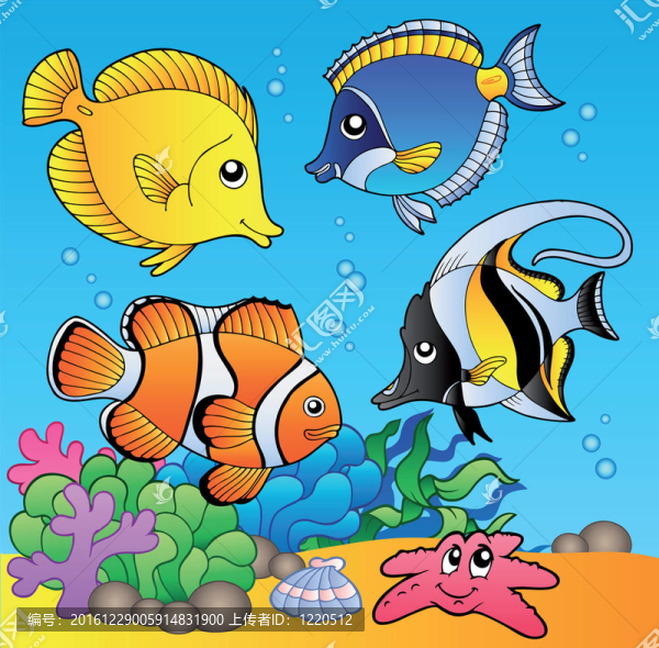 水下動(dòng)物與魚類2
