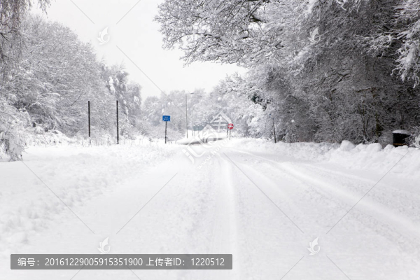 白雪覆蓋的道路