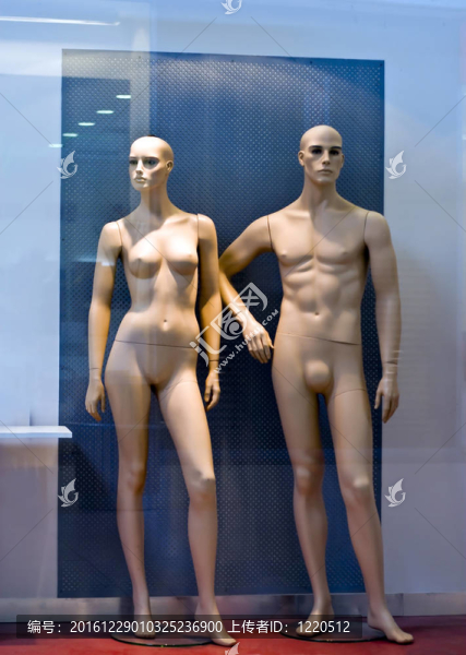 假人；男女