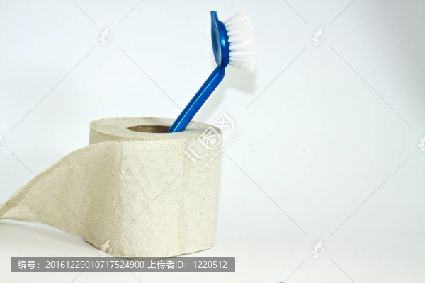 衛(wèi)生紙和刷子