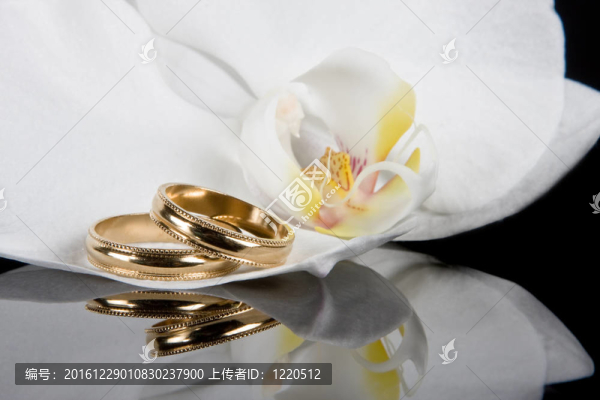 金帶