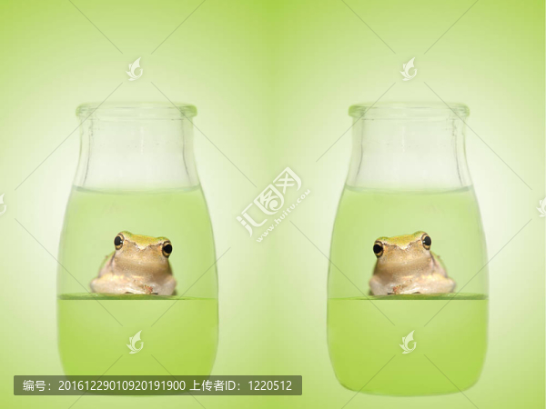 瓶中青蛙
