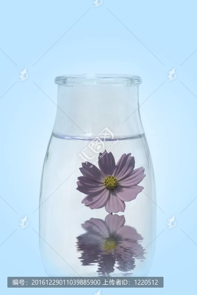 瓶中青蛙