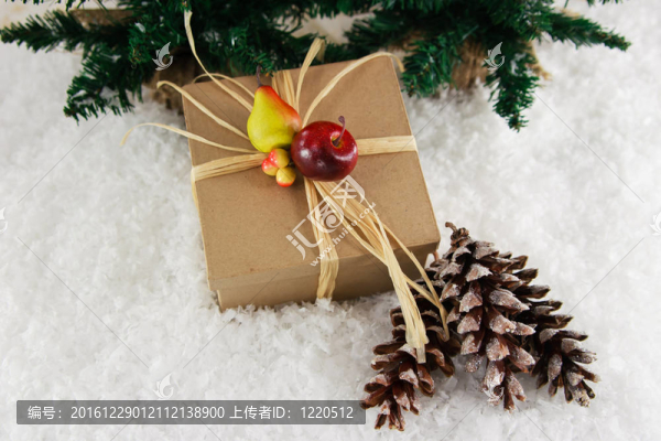 天然水果裝飾禮品