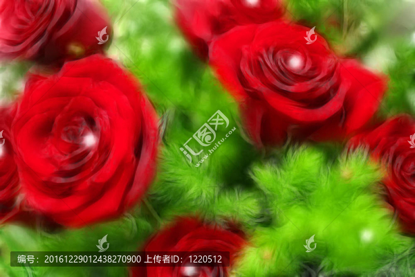 抽象花玫瑰