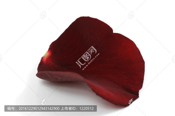 紅玫瑰的花瓣
