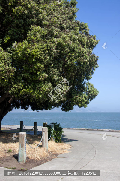 沿著海岸的小路