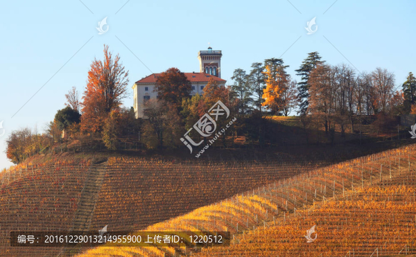 Piedmont群山。意大利北部。