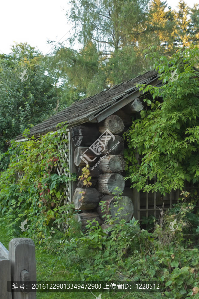 老木屋。