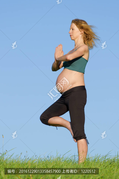 草原孕婦