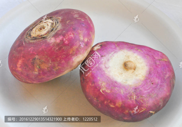 甜菜根
