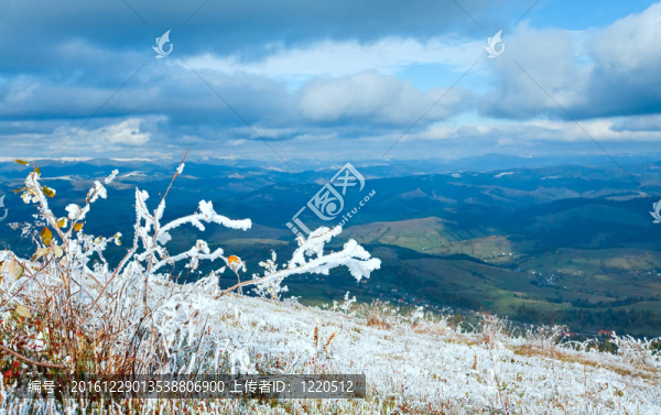 秋冬冬季第一場雪