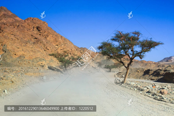 山地景觀