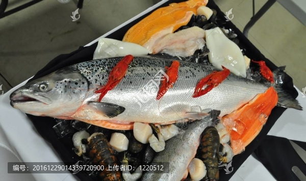 生魚片拼盤