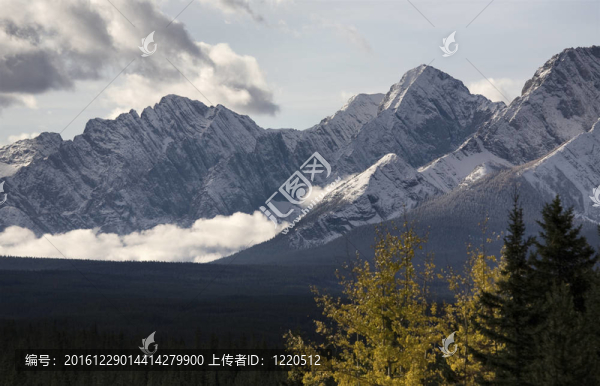 在落基山脈的秋天