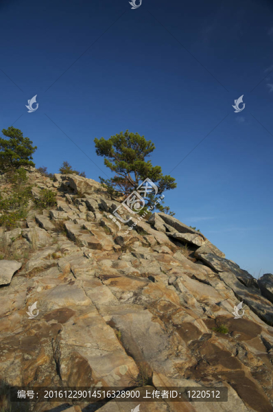 山坡