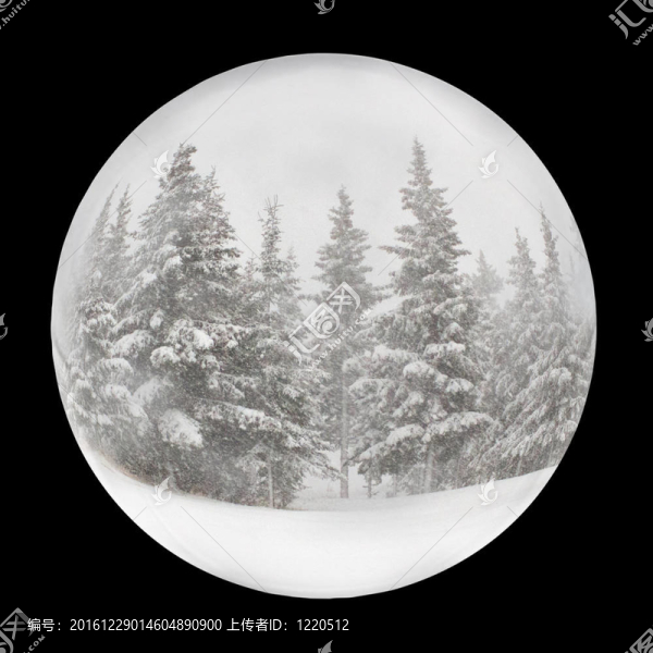 黑色雪花球
