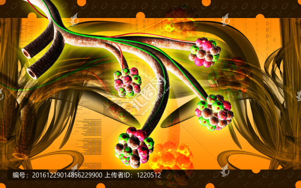 肺泡