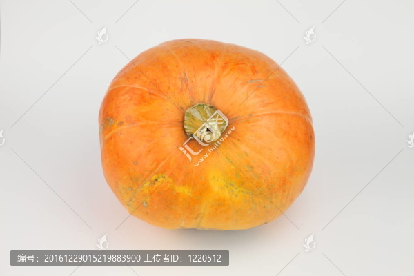 南瓜的頂部