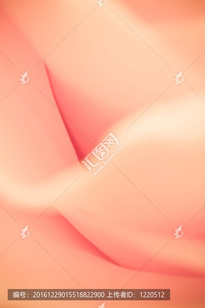 橙玫瑰的宏